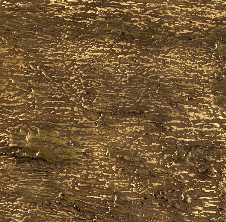 MM5 - Yellow Brass