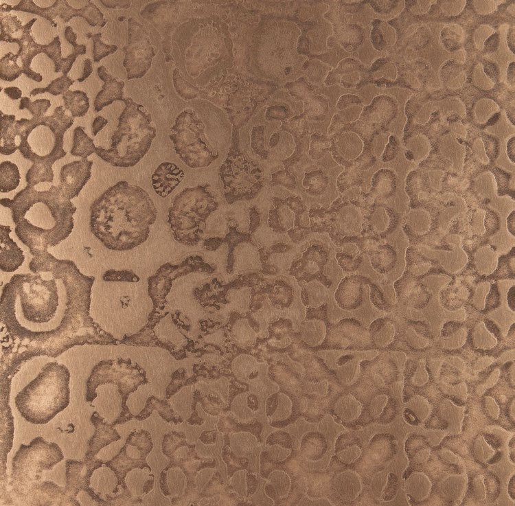 OM5 - Bronze