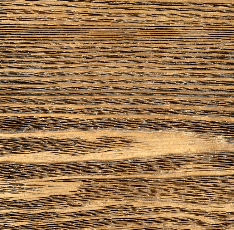 WM2 - Brown Brass Polished